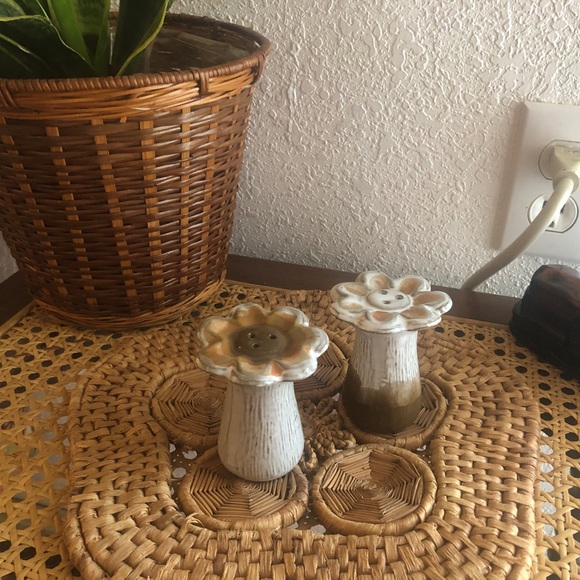 Vintage Other - Vintage Boho/Rustic Brown & Cream Floral Salt and Pepper Shaker Set